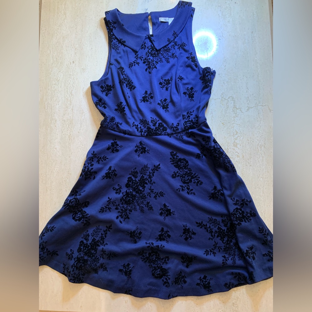 LC Lauren Conrad Collared Dress NWT
